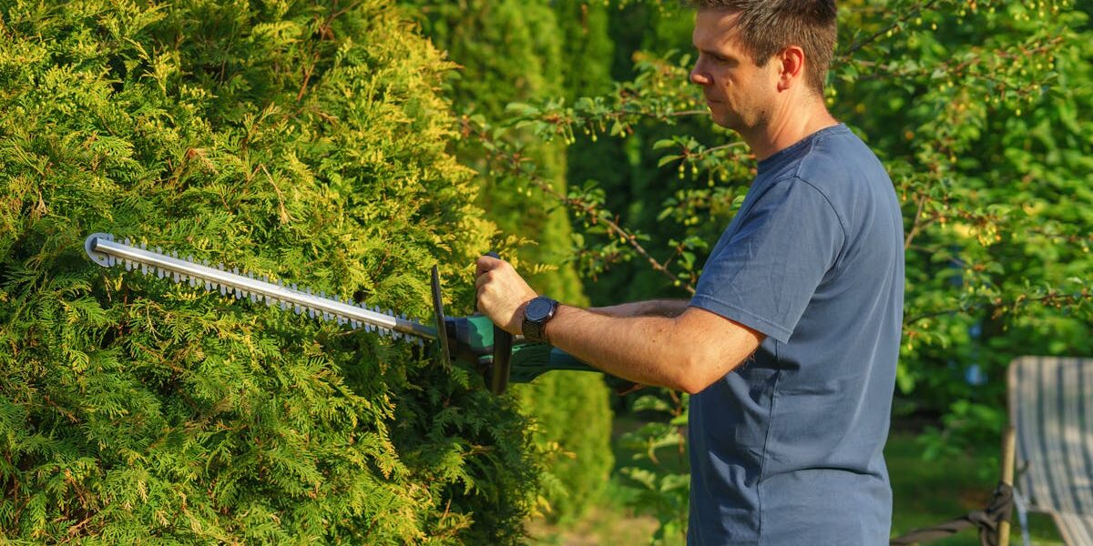 Aufgaben für Gartenbesitzer